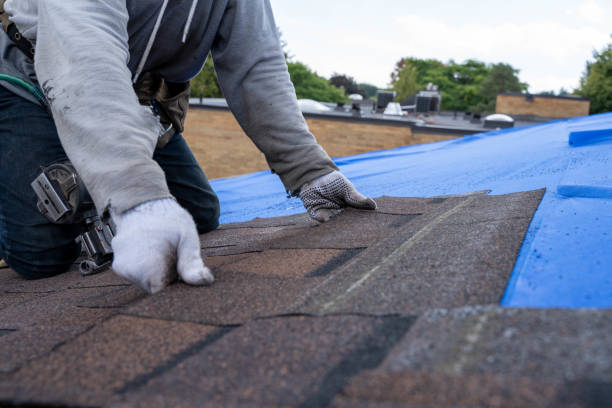 Best Roof Gutter Cleaning  in Latta, SC